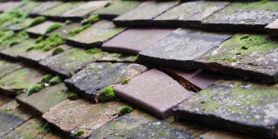 Brockley roof repair costs